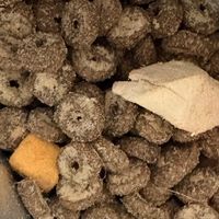大牌网易严选猫粮，即便是贵一点，但是对猫很好啊。