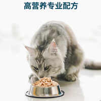 鲜朗旗舰店冻干主食全价猫粮鸡肉配方：爱猫人士的优质之选