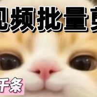 离谱熊UGC研究所 篇零：Alpha离谱熊距离35岁危机已经超过2年