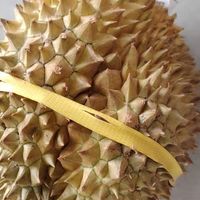 榴莲泰国新鲜金枕榴莲整果好吃快捷