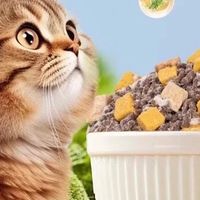 威尔逊馋嘴全猫期猫粮～让猫咪吃出健康与魅力！