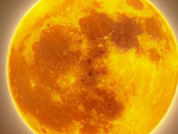 摄影日记｜从未如此接近