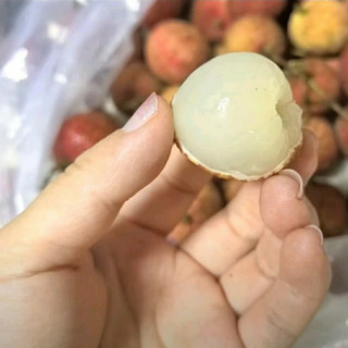 今年荔枝太便宜！“小而甜”的桂味荔枝我必须吹爆！