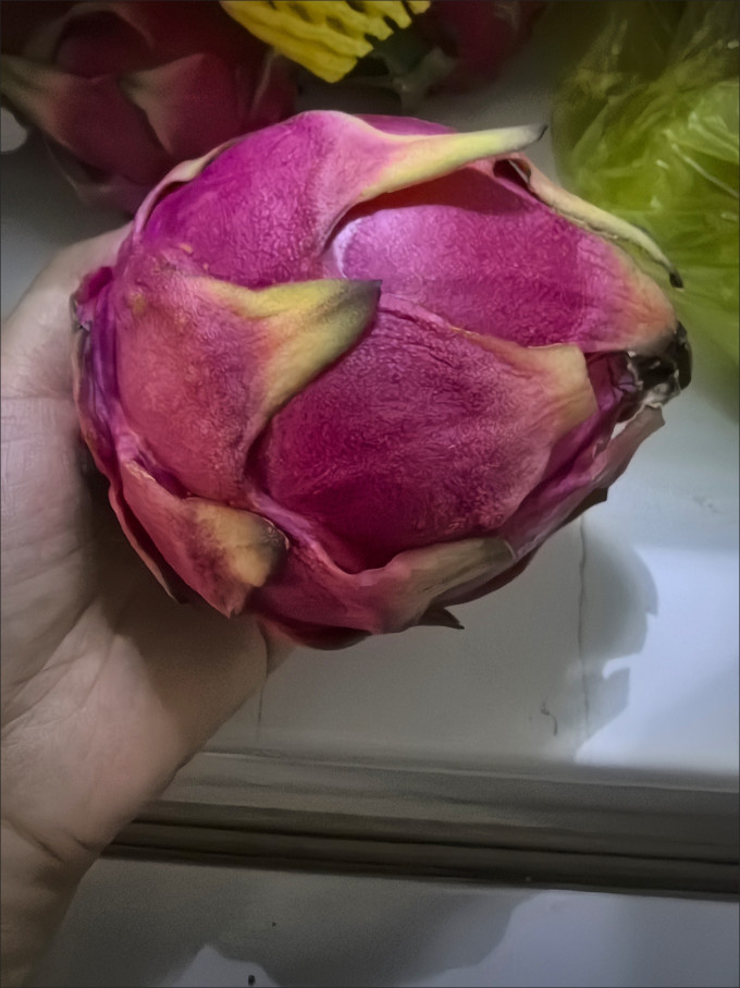 好乐果火龙果