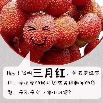 荔枝季踩坑警告！谁没用【保鲜技巧】→ 每天损耗上千元！