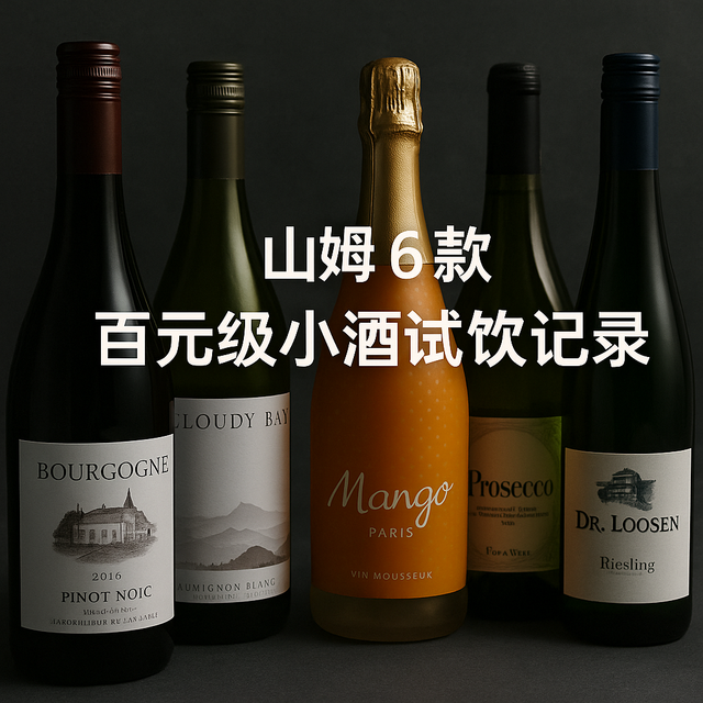 山姆超市最顺口的 6 支百元小酒，清单留档，怕下架再也找不到