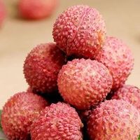 荔枝茶饮热销，品种博弈加剧