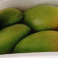 云南大青芒整箱批发