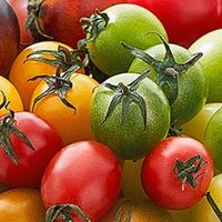 618生鲜开箱实录！这些神仙水果怎么买不踩雷？