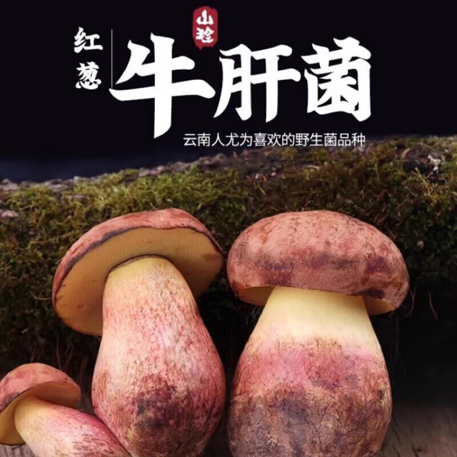 致命诱惑：见手青，锅气下的魔幻盛宴