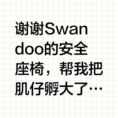 谢谢Swandoo的安全座椅，帮我把肌仔孵大了，现在已经大到不大能塞进去了，于是换了同品牌的大童版本。坐安全座椅是我们家从小到大都遵循的，因为没什么是比孩子安全更重要的。当初选这款安全座椅主要考虑的是