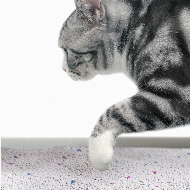 618囤货指南：这款猫砂不囤真的亏大了！