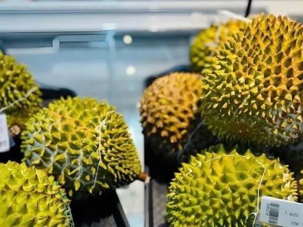 暴跌的榴莲