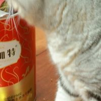 弗列加特兔肉冻干：胖猫也能炫的高蛋白低脂肪主食