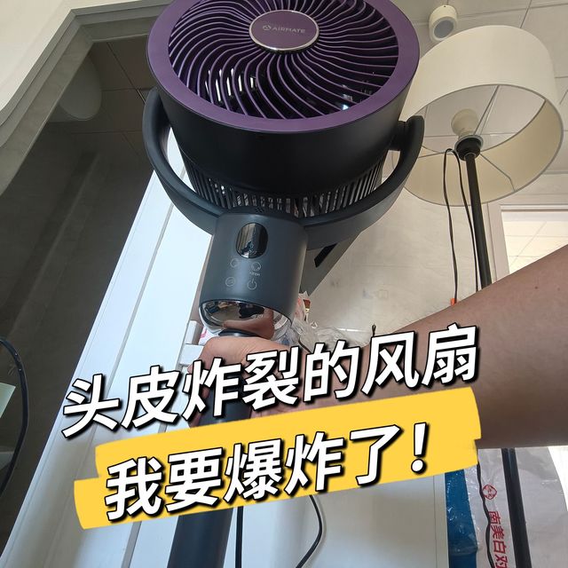 都给我避雷！艾美特空气循环扇语音坑