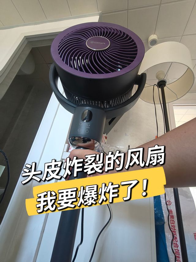 都给我避雷!艾美特空气循环扇语音坑