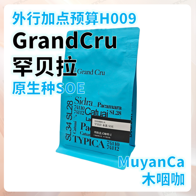 外行加点预算H009：GrandCru 埃塞罕贝拉 原生种 SOE(＞100元/斤)