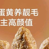 高性价比成猫粮适口性佳