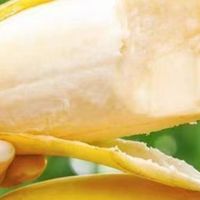 【苹果蕉】广西苹果蕉粉蕉应季水果香蕉超甜薄皮现摘新鲜香甜粉糥