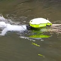 夏日带娃玩水，这些事儿你得知道！