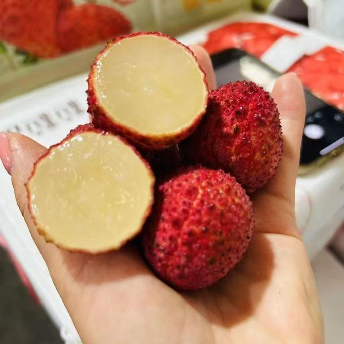 壹萌果蔬其他水果