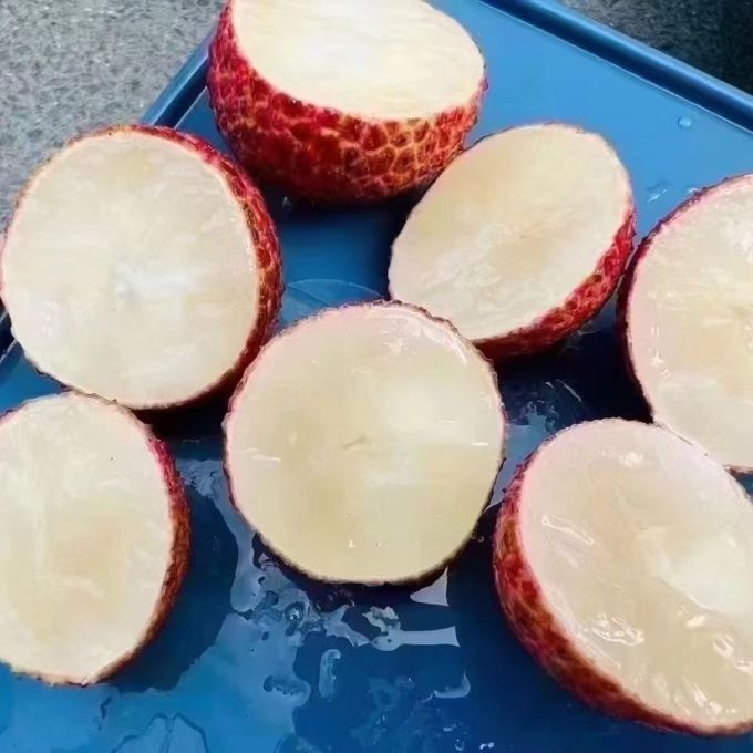 壹萌果蔬其他水果