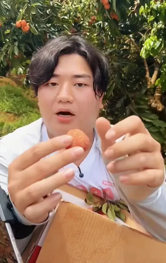 #荔枝你吃了吗 来高州请你吃，桂味荔枝的特点就是香甜脆爽多汁唇齿留香#桂味荔枝 #荔枝 #新鲜采摘 #全进华