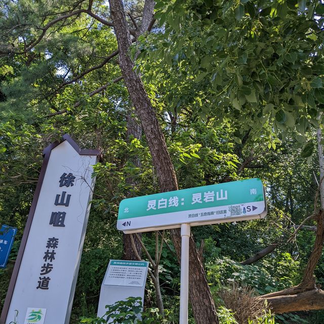 接近四十度了，灵白线走起
