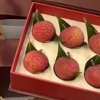 冷链物流助力荔枝快速保鲜运输