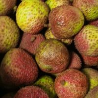 一口入夏！陇百味海南妃子笑荔枝，新鲜与美味的极致体验