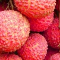 荔枝价格观察：平台间的甜蜜博弈