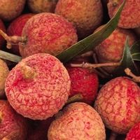 荔枝价格暴跌，实现“荔枝自由”的快乐谁懂！