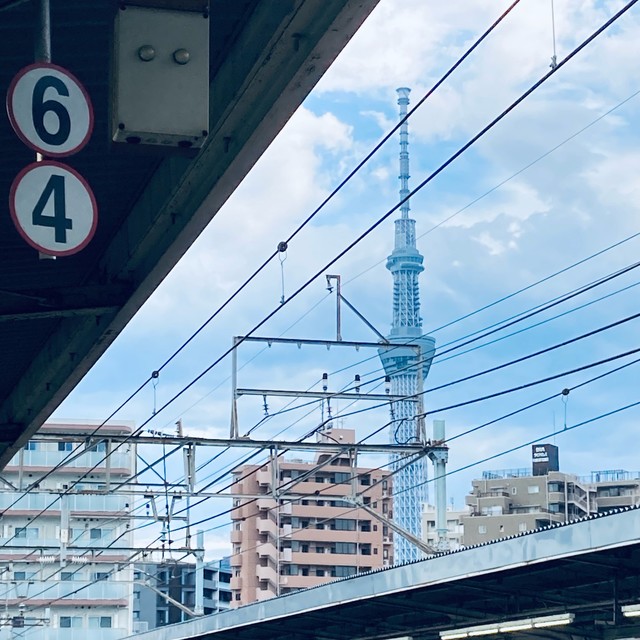 东京晴空塔：世界最高自立电波塔，还得是老街电车与它最搭！