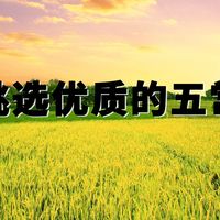 如何挑选优质的五常大米