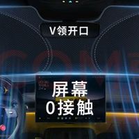 特斯拉车主夏日必备遮阳挡