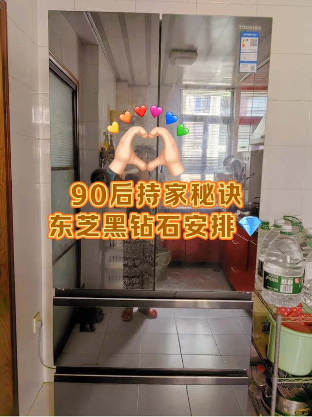 90 后の持家秘诀|东芝黑钻石559