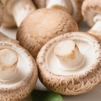总是感冒、没精神？这10种食物让你免疫力翻倍，身体倍儿棒！