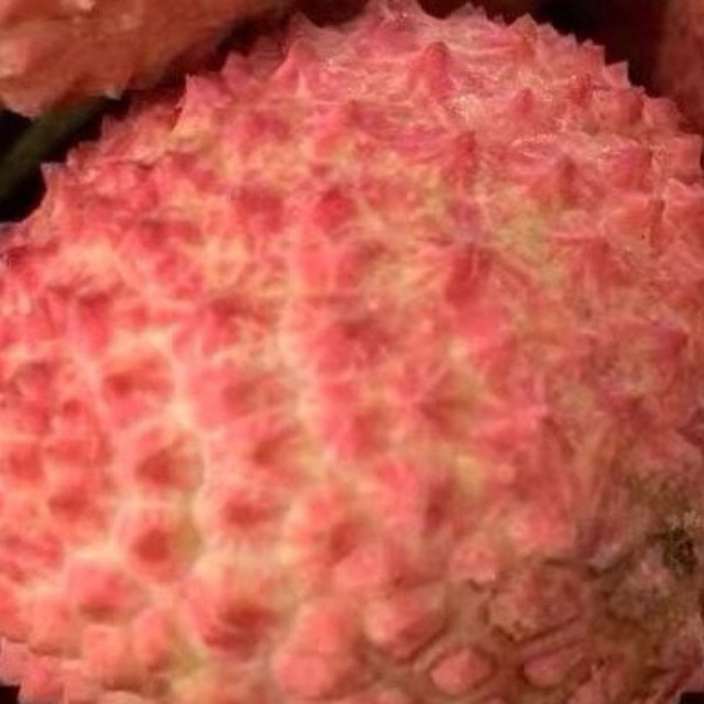 荔枝的盛夏情书：甜蜜在齿间绽放