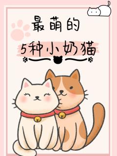 🐱捡到小奶猫？喂养全攻略来啦！