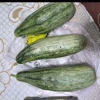 羊角蜜:口感脆嫩,甜而不腻
