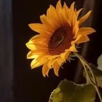 错过618别慌！这份囤书省钱技巧请查收