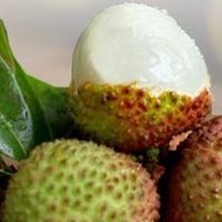 京东生鲜大赏，哪款最香？