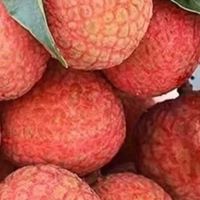 哪种荔枝性价比最高？
