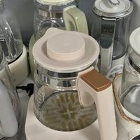 电热水壶哪个品牌好？高赞爆单款前十名严格评选！