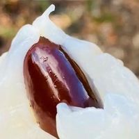 荔枝价格暴跌：产业链的连锁反应与个人思考