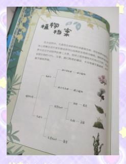 2025年微单镜头推荐哪个牌子好性价比高？