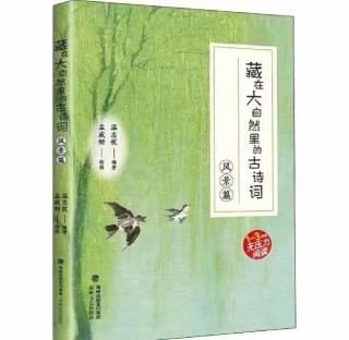 2025年微单镜头推荐哪个牌子好性价比高？