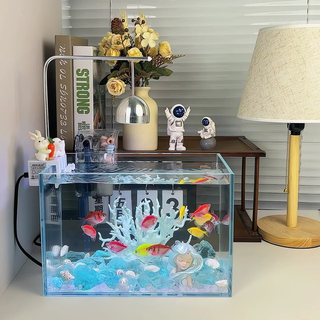 用了三个月的30cm小鱼缸，说说真实感受！