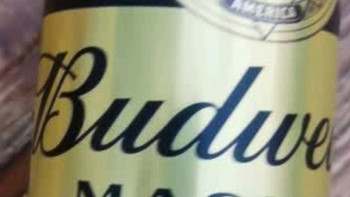 百威啤酒TOP淡色拉格450ml*18听整箱装新老包装交替发货 