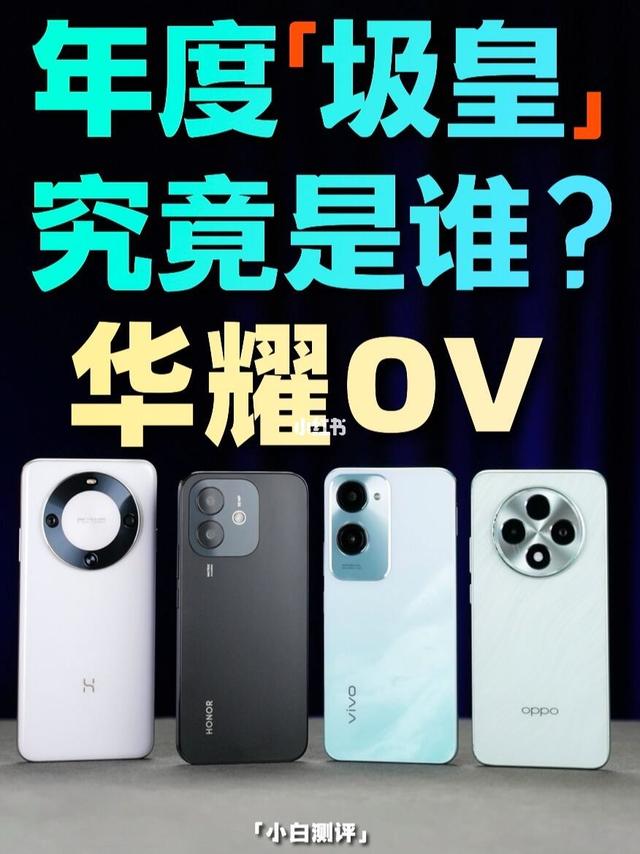 2024年度圾皇争霸 谁是圾中之王？
